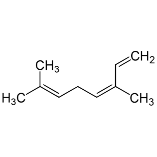 OCIMENE